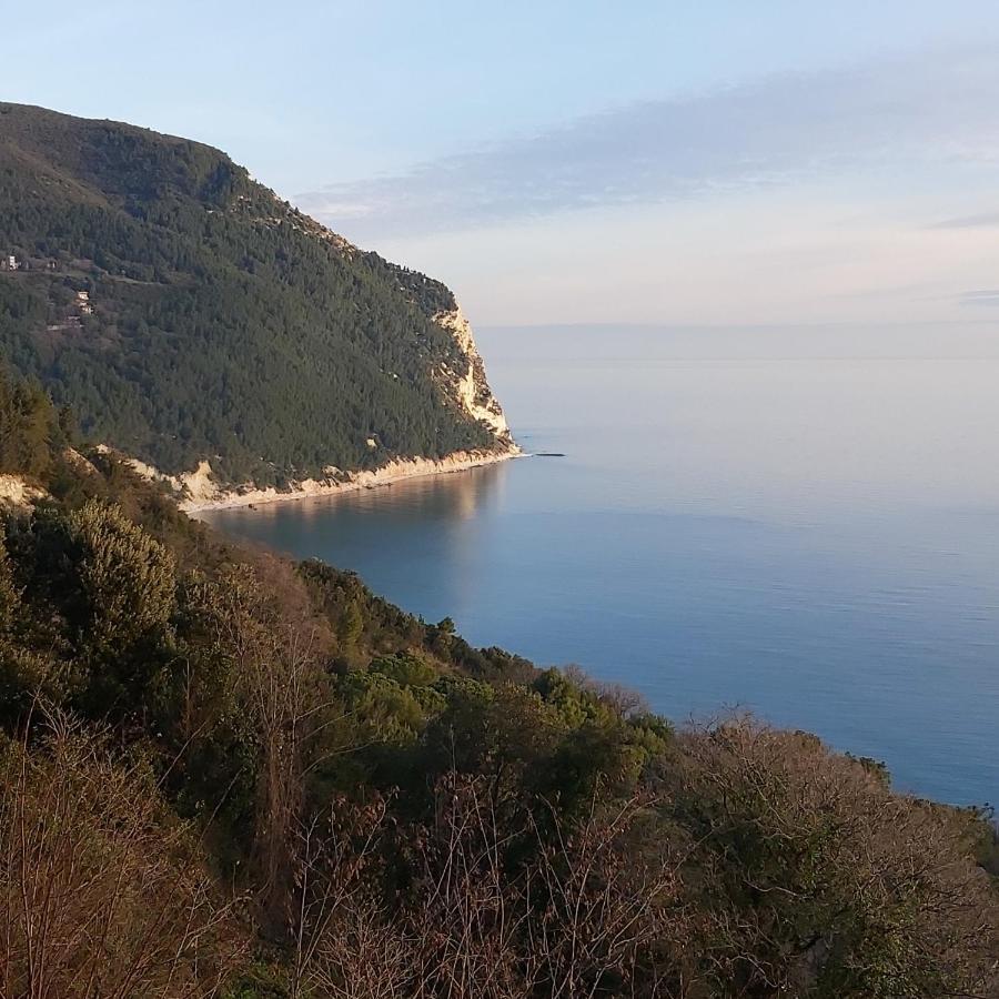 Affittacamere Villa Zelinda Sirolo Exterior foto